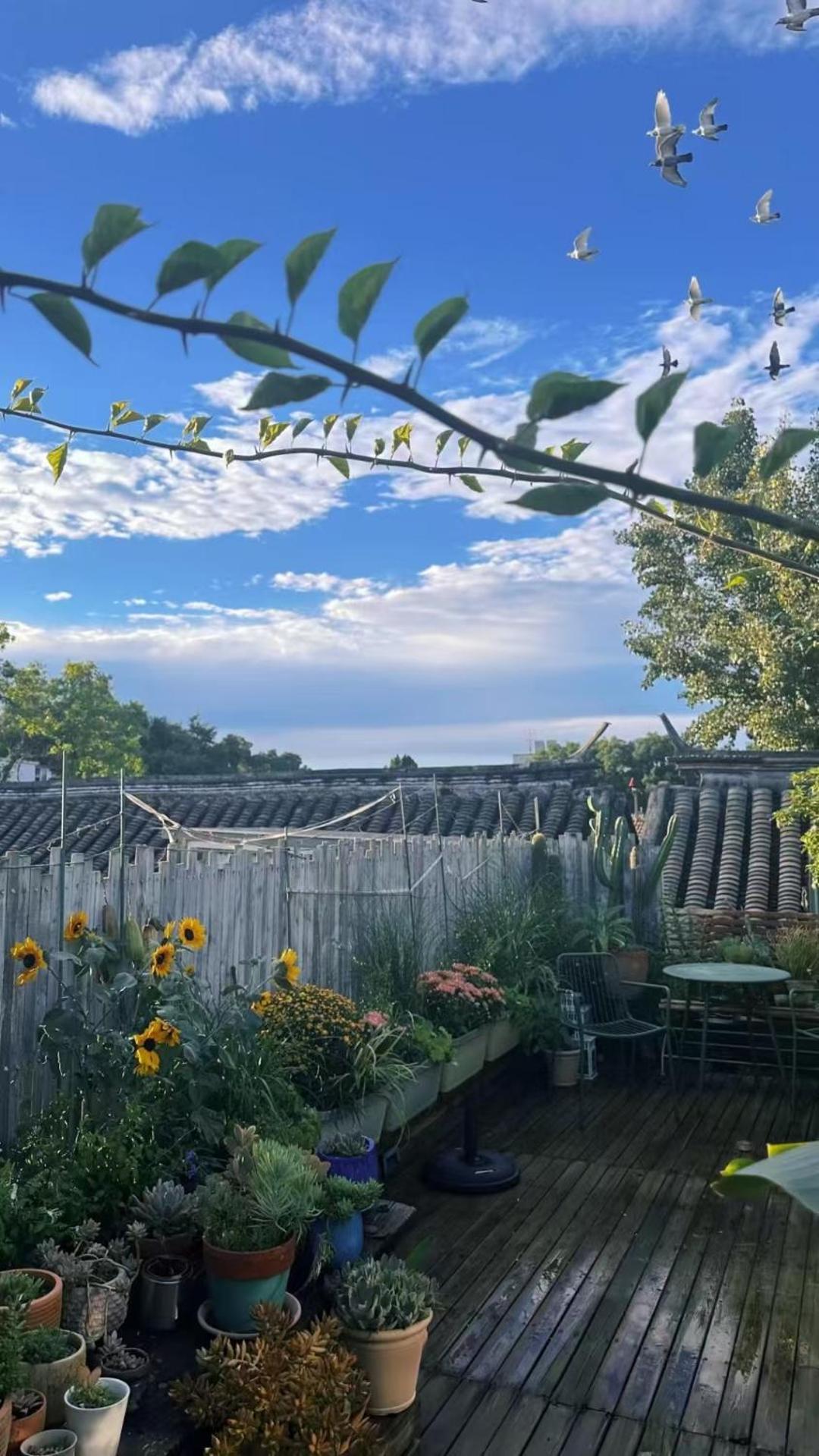Peking Garden Boutique Hotel Dış mekan fotoğraf