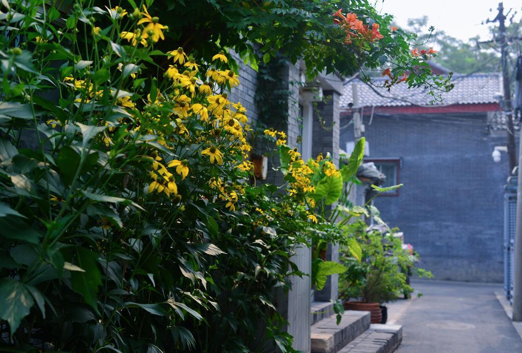 Peking Garden Boutique Hotel Dış mekan fotoğraf