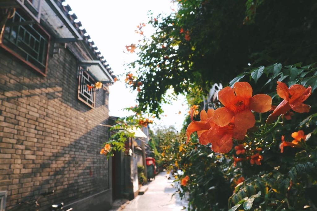 Peking Garden Boutique Hotel Dış mekan fotoğraf