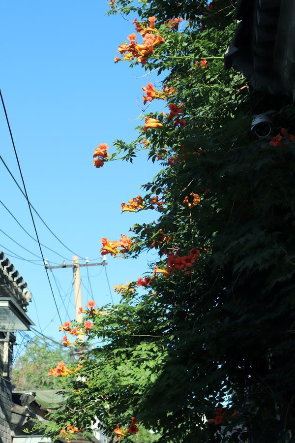 Peking Garden Boutique Hotel Dış mekan fotoğraf